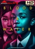 Blood and Water Temporada 1 [720p]